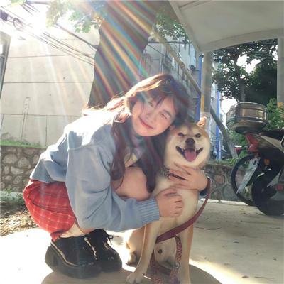 狐狸禁猎期